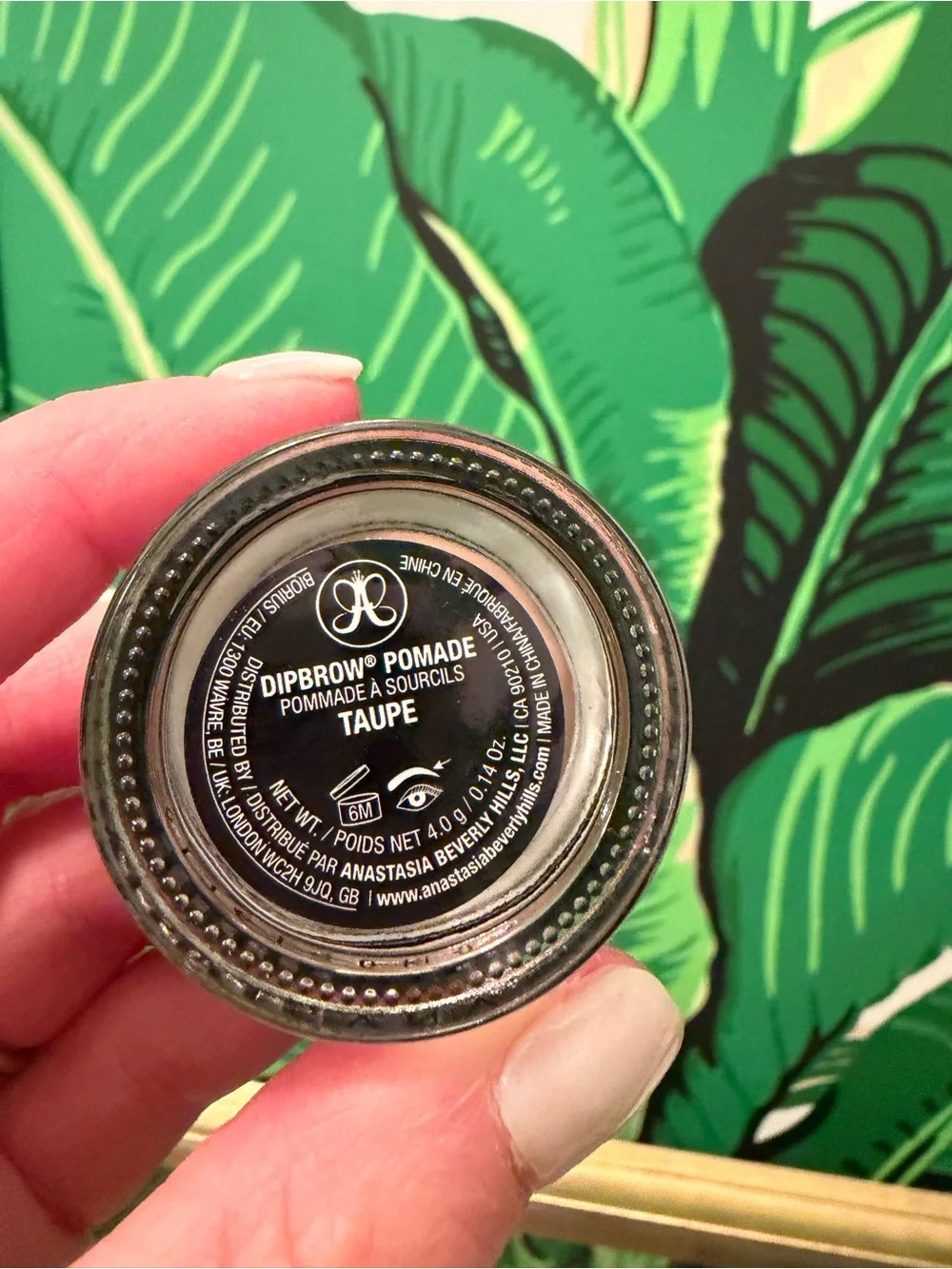NWT Anastasia Beverly Hills DIPBROW Pomade Taupe + Brush #12